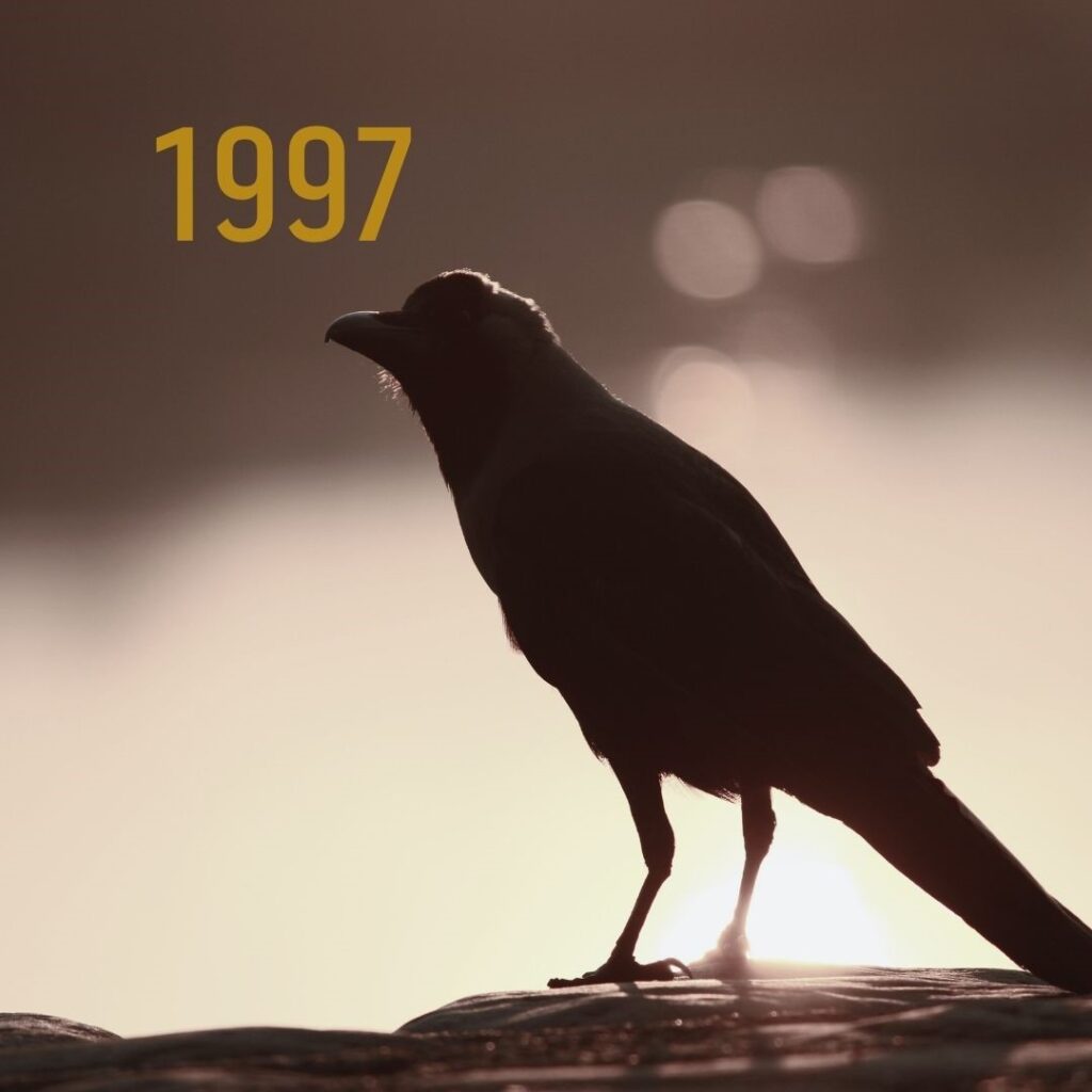 Image of a single crow in silhouette, with the year 1997 displayed in the top left corner.
