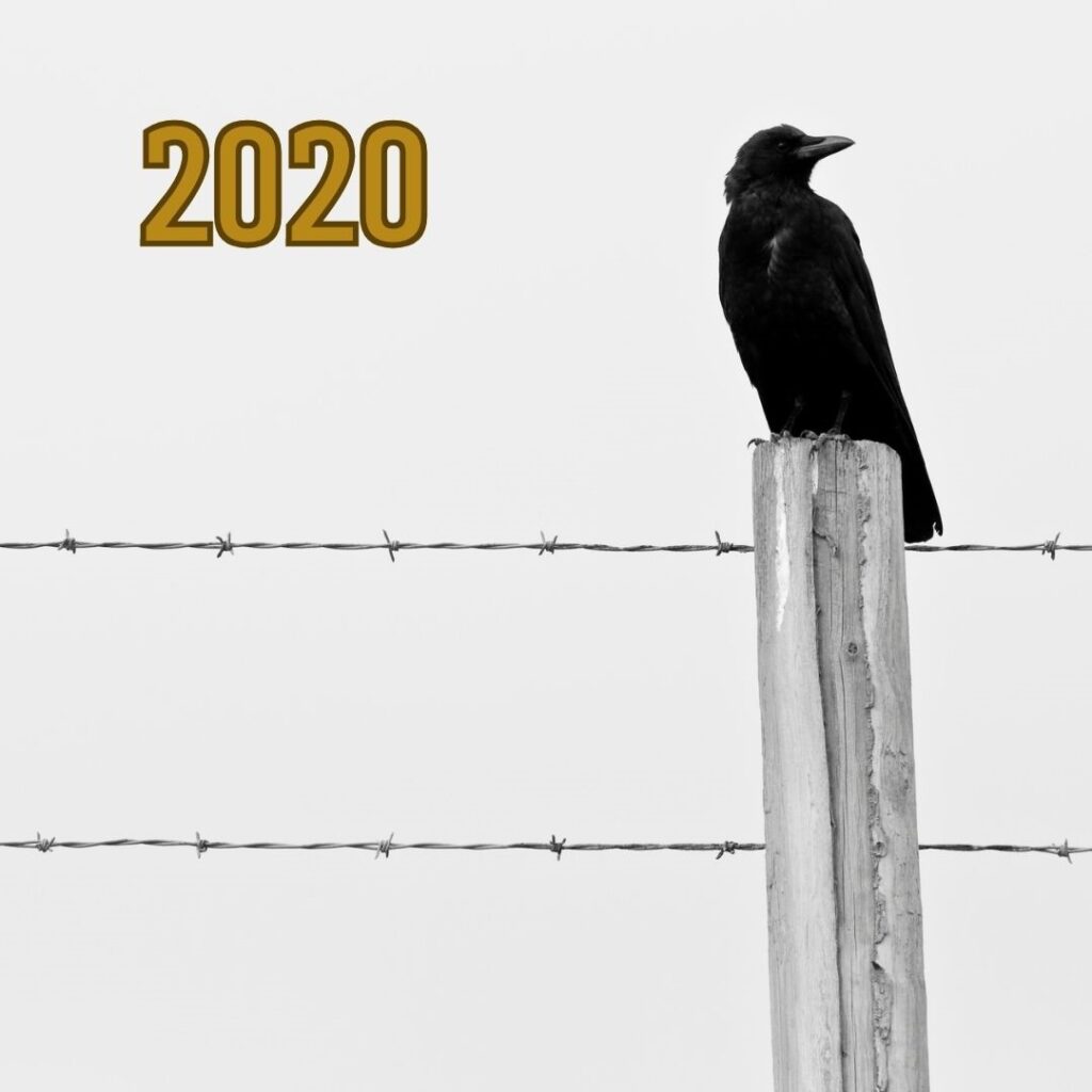 Image of a single crow on a fence pole, with the year 2020 displayed in the top left corner.