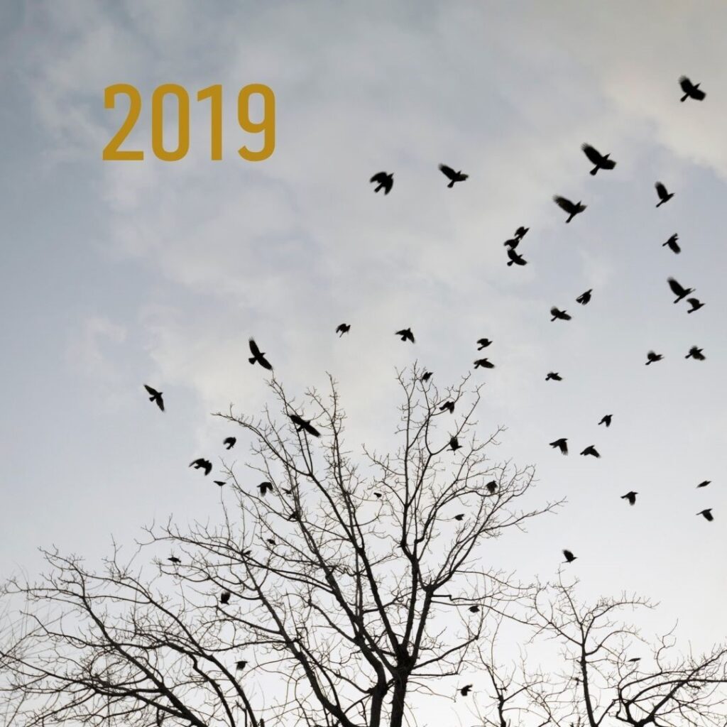 Image of numerous crows flying out of the top of a tree with the year 2019 displayed in the top left corner.