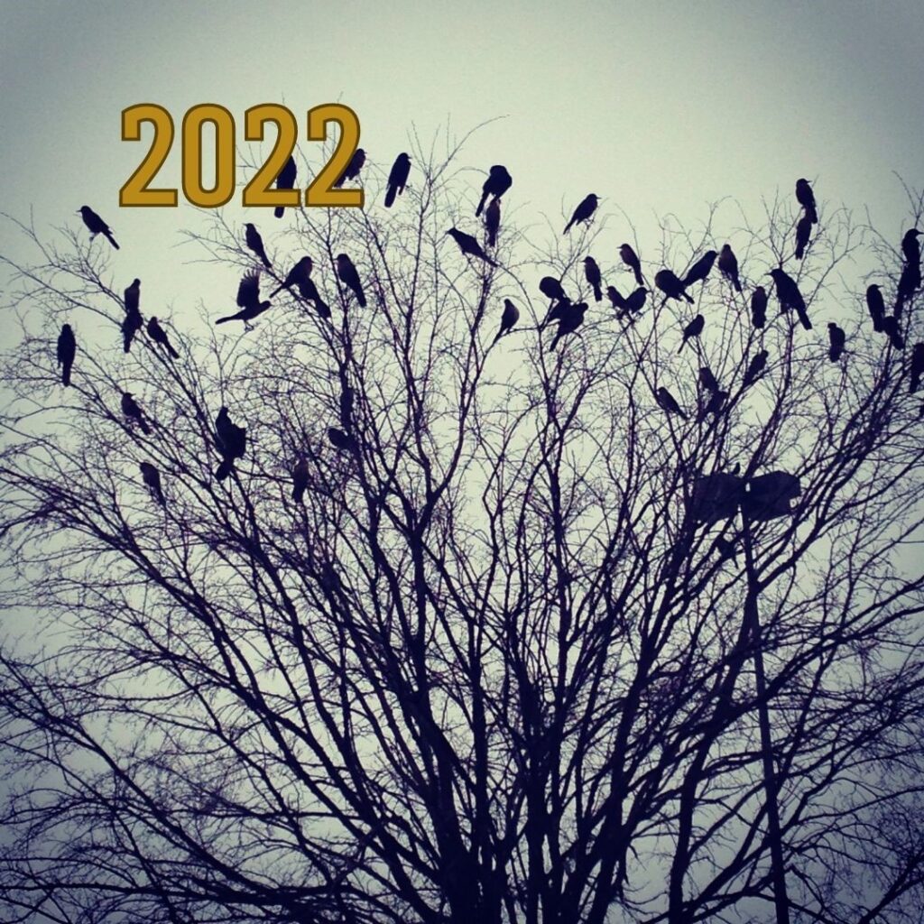 Image of a murder of crows filling a tree top, with the year 2022 displayed in the top left corner.