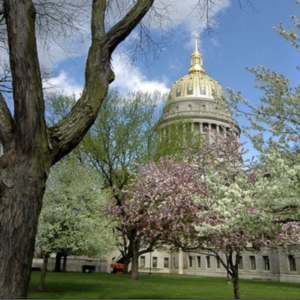 Photo of the golden WV Capitol dome in springtime- Fair Use
